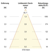 EVN Lichttechnik - Downlight/Strahler/Flutlicht LED-Anbauleuchte ALG54131525