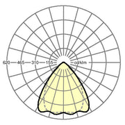 Regiolux - Geräteträger für Lichtbandsystem LED-Geräteträger SRGCTB #19530006154 6500K DALI