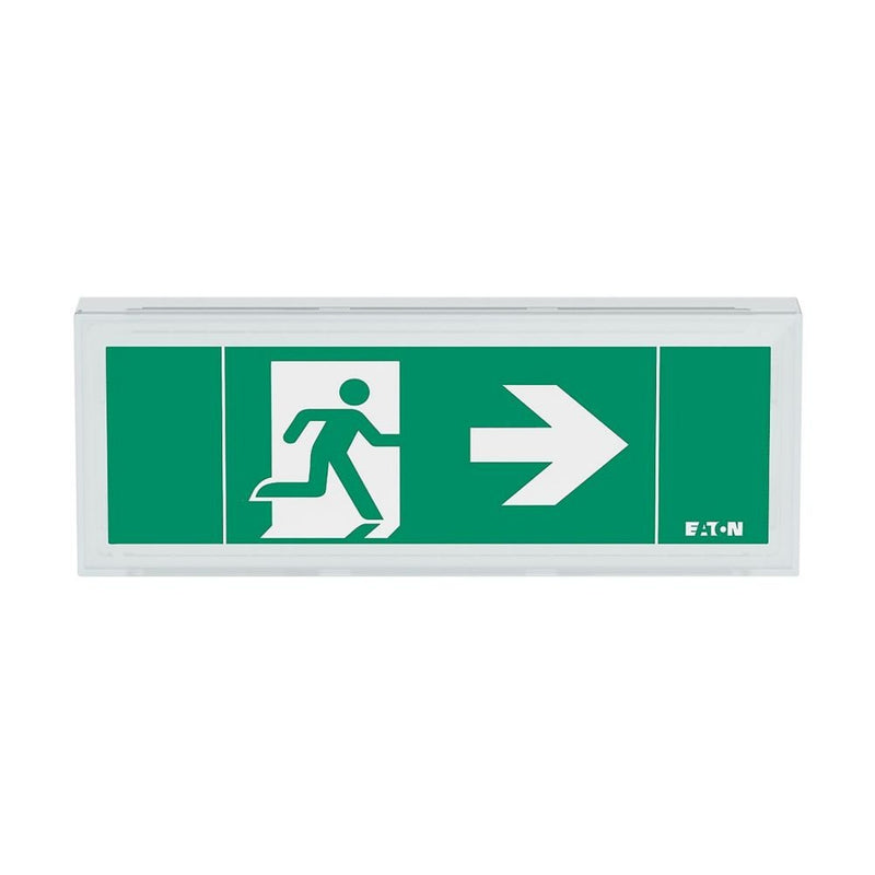 Ceag Notlichtsysteme - Sicherheitsleuchte LED-Rettungszeichenleuchte FT1EW4ICGS ZB, Piktos, Wand