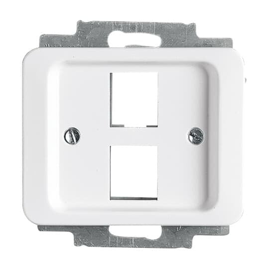 Busch-Jaeger - Einsatz/Abdeckung für Kommunikationstechnik Zentralscheibe stws gl 2561-02-24G für 2 Modular Jack