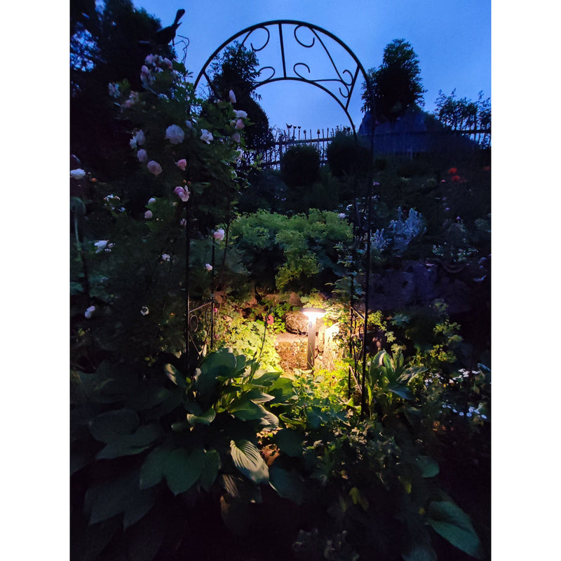 Lichtline - Wegeleuchte LED-Solar-Wegeleuchte PRDX27796 60cm