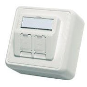 Telegärtner - Kommunikationsanschlussdose Kupfer Modul-Aufnahme AP 80x80 100021382 2fach aws leer − 1 Stück