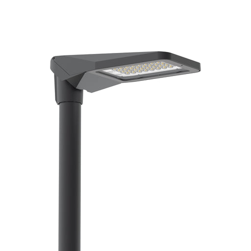 Leipziger Leuchten - Straßen- und Platzleuchte LED-Mastan-/aufsatzleuchte ALFONS I DW7148028 4000K DB703