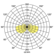 Brumberg Leuchten - Decken-/Wandleuchte LED-Wandanbauleuchte 230V 10039183 3000/4000K