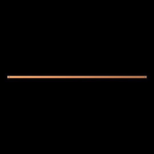 Striebel&amp;John - Sammelschiene CombiLine Innenausbau Mod. ZXM1096 Feldbr. 5 max.320A  − 1 Stück
