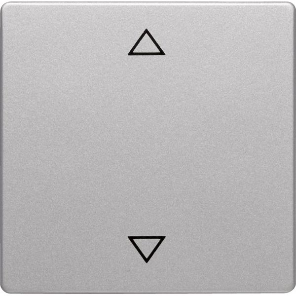Berker - Abdeckung/Bedienelement für Installationsschalterprogramme Wippe alu/lack 16206074 Symbol Pfeil