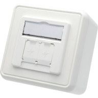 Telegärtner - Kommunikationsanschlussdose Kupfer Modulaufnahme 100021396 80x80, 2-fach AP