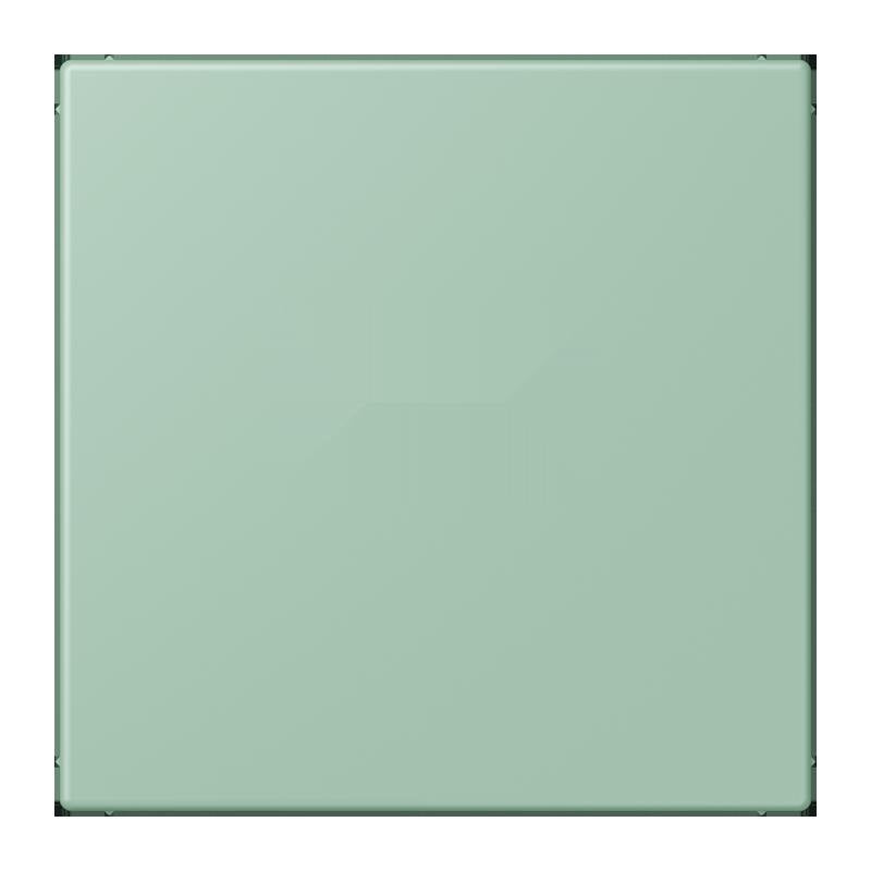 Jung - Abdeckung/Bedienelement für Installationsschalterprogramme Abdeckung f. USB-Ladegerät LC 1969 USB 217 vert anglais clair
