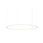 Brumberg Leuchten - Pendelleuchte LED-Pendel-Ringleuchte 84112174CA 4000K, Casambi