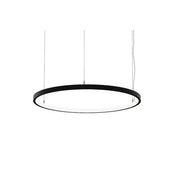 Brumberg Leuchten - Pendelleuchte LED-Pendel-Ringleuchte 84030183MT 3000K, Matter