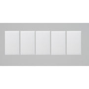 Ritto - Zubehör/Ersatzteile für Türkommunikation Namensschild 1225181 (VE5) für 14751/.0,15751.2
