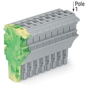WAGO - Ein- und mehrpolige Klemmenleiste 1-Leiter-Federleiste 2022-110/000-037 4 mm²,gn-ge/gr − 25 Stück