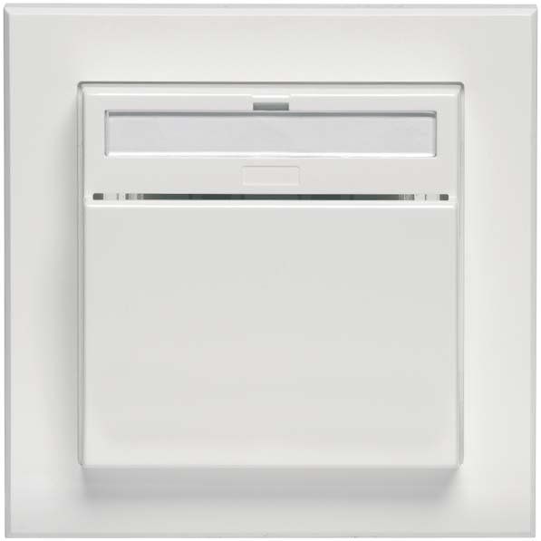 Peha - Bussystem-Hand-/Wandsender Hotel-Card-Schalter rws D 20.450.022FU-BLSHC AP f.Karten 55x85mm