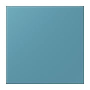 Jung - Behindertenelement für Installationsschalterprogramme Notrufsystem Netzteil NRS LC 0834 NT 212