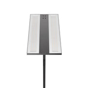 Brumberg Leuchten - Stehleuchte LED-Stehleuchte 77455184 4000K
