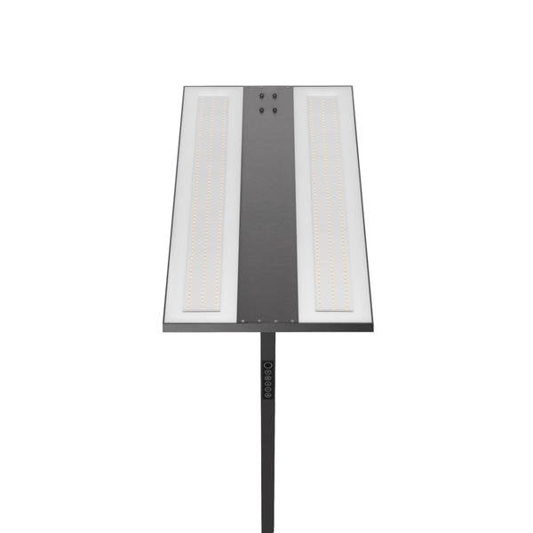 Brumberg Leuchten - Stehleuchte LED-Stehleuchte 77455184 4000K