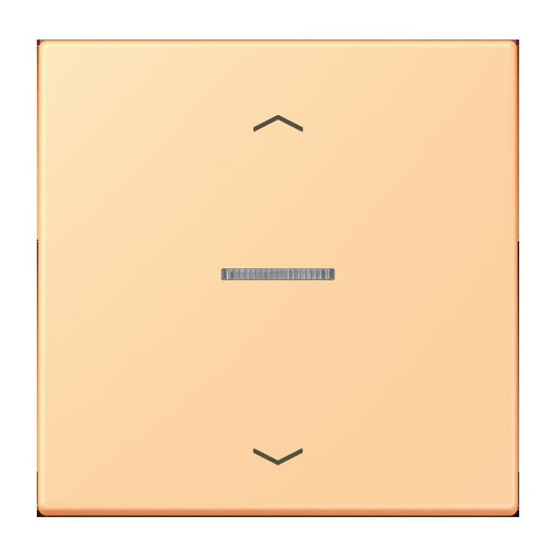 Jung - Bedienelement intelligent Taster 1fach BT LC 17101 P 258
