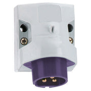 Bals Elektrotech - CEE-Gerätestecker (IEC 60309) Kleinspann.-Wandstecker 4617 32A 3p 24V