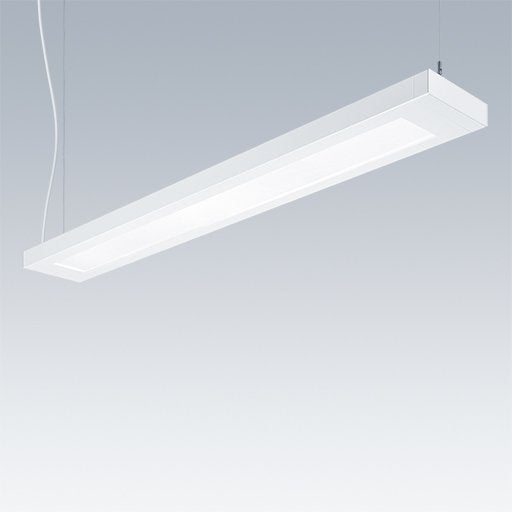 Thorn - Pendelleuchte LED - Hängeleuchte PUNCH 3LRO #96636036 940