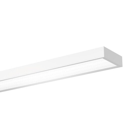 Siteco - Hallen-Reflektorleuchte LED-Hallenleuchte 51HS12DC4DCA 840 DALI