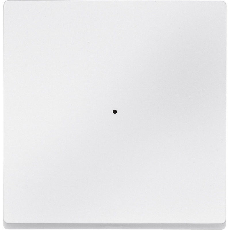 Merten - Bussystem-Tastwippe Wippe pws 625119 für Tastermodul 1f