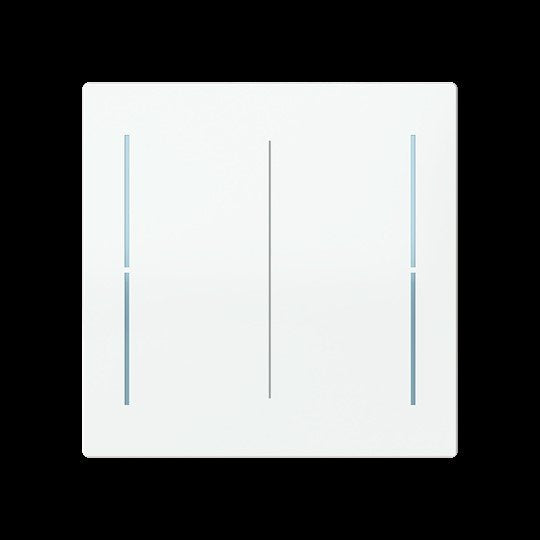 Busch-Jaeger - Bussystem-Tastwippe Abdeckung, 2-fach LFW/A.2.70.11-44g für Keypad