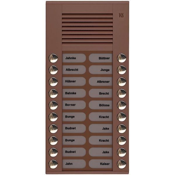 TCS Tür Control - Türstation für Türkommunikation Audioaußenstation 2-reihig PES20-EB/04 20 Tasten AP bronze