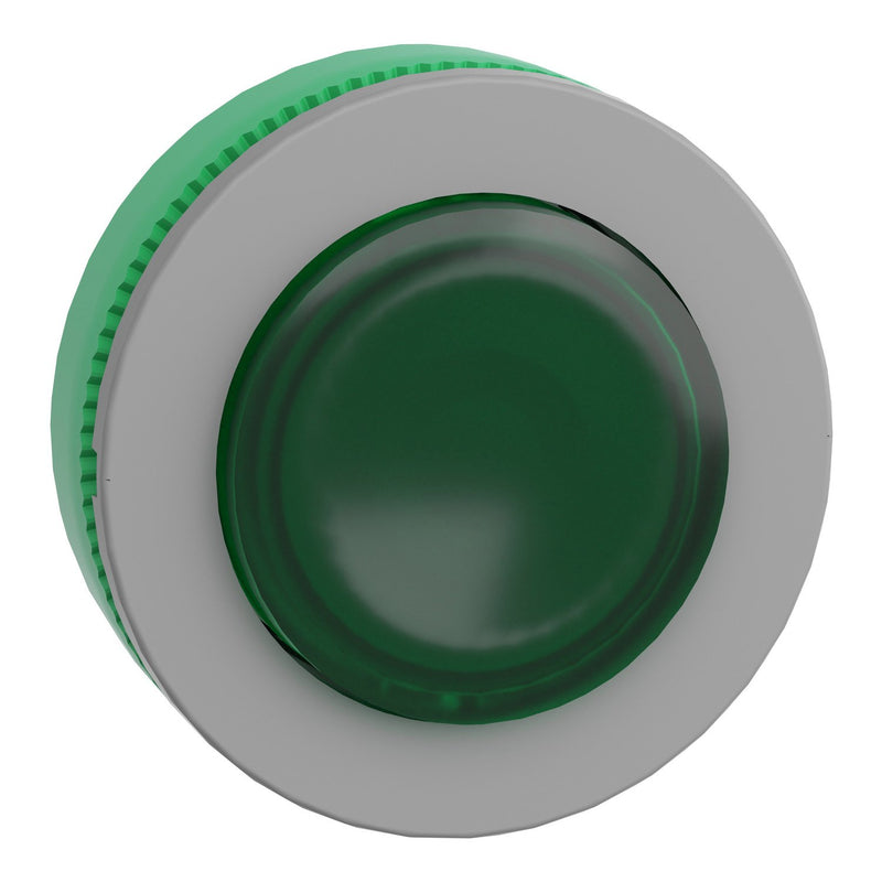 Schneider Electric - Frontelement für Drucktaster Leuchtdrucktaster ZB5FW133C0 grün, 30mm, in grau