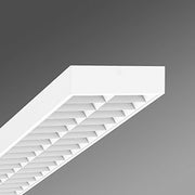 Regiolux - Decken-/Wandleuchte LED-Sportstättenleuchte THLA/15 #68120024100 4000K