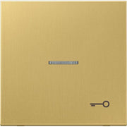 Jung - Abdeckung/Bedienelement für Installationsschalterprogramme Wippe Sym. TÜR Mess/clas ME 2990 KO5 T C f. beleuchtb. Taster