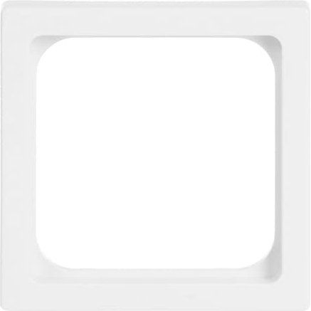 Busch-Jaeger - Einsatz/Abdeckung für Kommunikationstechnik Zentralscheibe dav 1746/10-84 50x50,f.TAE-Einsatz
