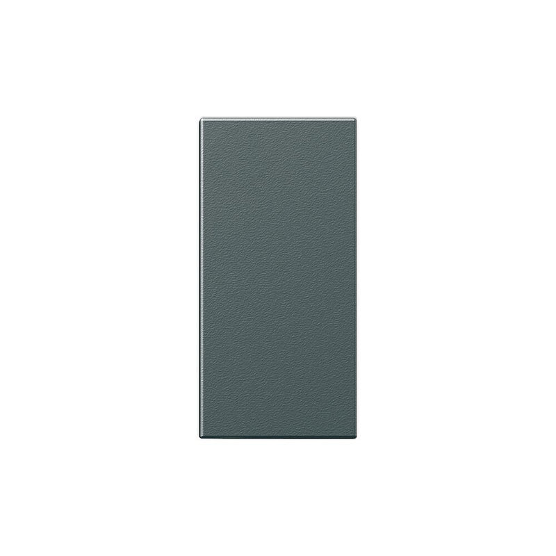Siedle&Söhne - Zubehör/Ersatzteile für Türkommunikation Klingeltaste dgr-Glim 200029938-00 ohne Glockensymbol