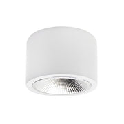 Brumberg Leuchten - Decken-/Wandleuchte LED-Anbaudownlight 230V 12597173DA 930