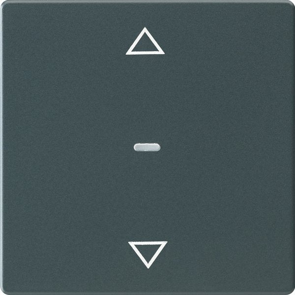 Berker - Abdeckung/Bedienelement für Installationsschalterprogramme Abdeckung Tastsensor-Modul 80961226 1-fach anthrazit