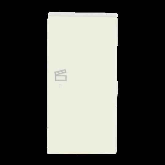Busch-Jaeger - Bussystem-Tastwippe Wippe elf/ws 6233-22-82 future linear