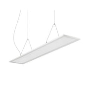Brumberg Leuchten - Pendelleuchte LED Pendelleuchte 49220073DA MPO, 3000/4000K DALI
