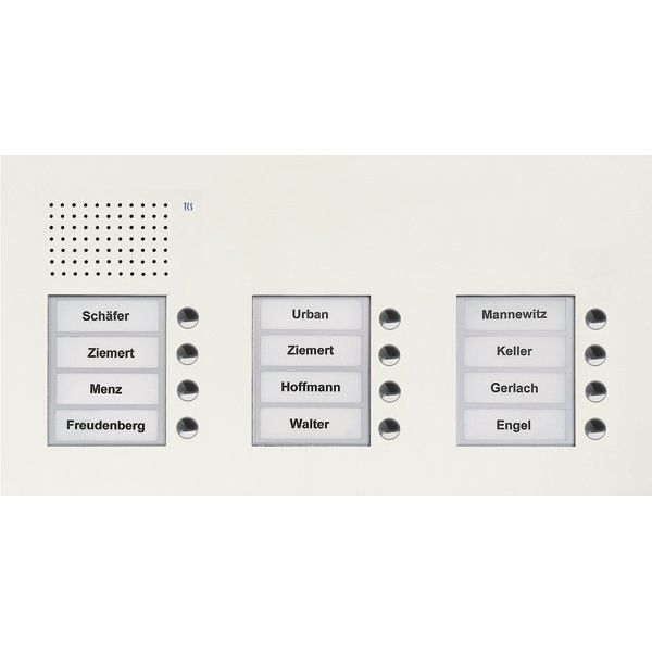 TCS Tür Control - Türstation für Türkommunikation Audio Außenstation PUK 12 PUK12/3-WS Tasten 3-spaltig UP
