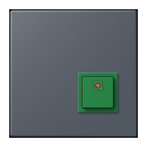 Jung - Behindertenelement für Installationsschalterprogramme Notrufsystem Abstelltaster NRS LC 0834 AT 262 gris fonce 59