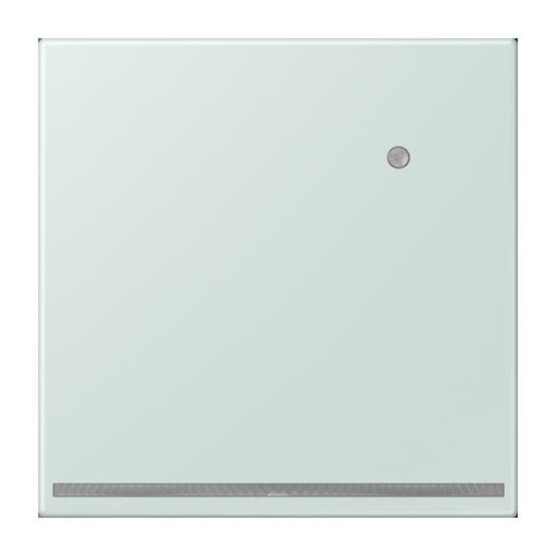 Jung - Orientierungsleuchte LED-Orientierungslicht LC 1539-O LNW 215