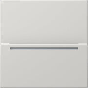 Jung - Abdeckung/Bedienelement für Installationsschalterprogramme Hotelcard-Schalter LS CARD RFID LG RFID