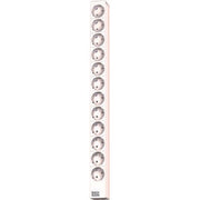 Bachmann - Power distribution unit (PDU) Steckdosenleiste 12f.alu 333.413 1HE 12xSchutz. 565mm