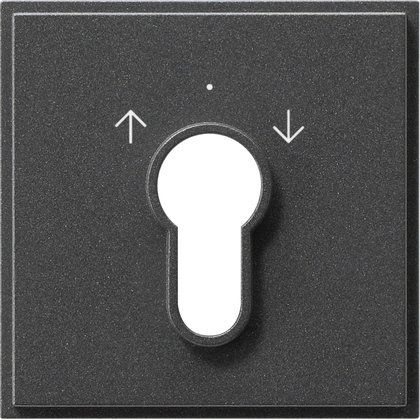 Gira - Abdeckung/Bedienelement für Installationsschalterprogramme Zentralpl. Schlüssel. anth 066467 TX44