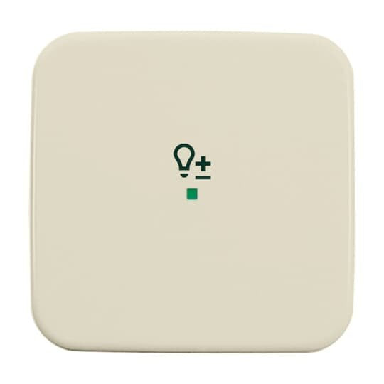 Busch-Jaeger - Bussystem-Tastwippe Wippe 1-fach, Symbol Licht 6234-10-212 weiß