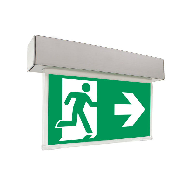 RP-Technik - Hinweisleuchte Sicherheitsleuchte ASMU418WL EB 8h, Wireless