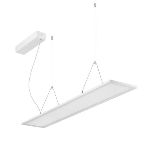 Brumberg Leuchten - Pendelleuchte LED Pendelleuchte 49220073DA MPO, 3000/4000K DALI
