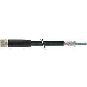 Murrelektronik - Konfektioniertes Sensor-Aktor-Kabel Steckverbinder 7000-08741-6401000 M8 Bu. gerade