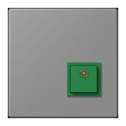 Jung - Behindertenelement für Installationsschalterprogramme Notrufsystem Abstelltaster NRS LC 0834 AT 203 gris 31