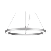 Brumberg Leuchten - Pendelleuchte LED-Pendel-Ringleuchte 13930163 DALI DT6 D60cm H35mm