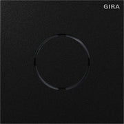 Gira - Funktionsmodul für Türkommunikation Sprachmodul System sw 5563925
