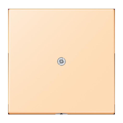 Jung - Einsatz/Abdeckung für Kommunikationstechnik Leitungsauslass m. Zugent. LC 990 A 223 ocre